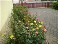 9ed1054e-Picture 5981.jpg